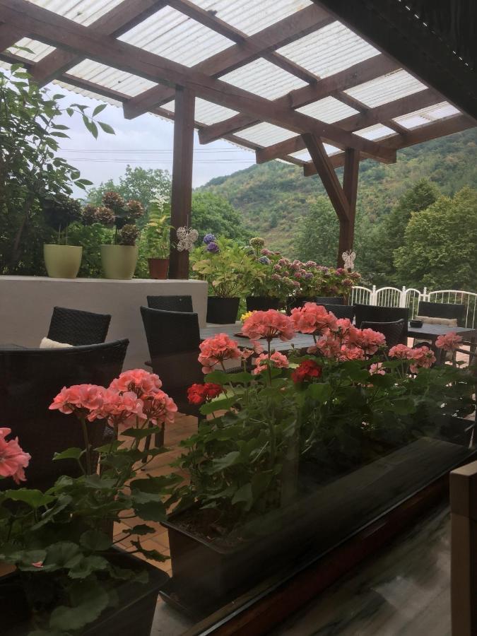 Moselina Ferienwohnungen Sankt Aldegund Exterior foto