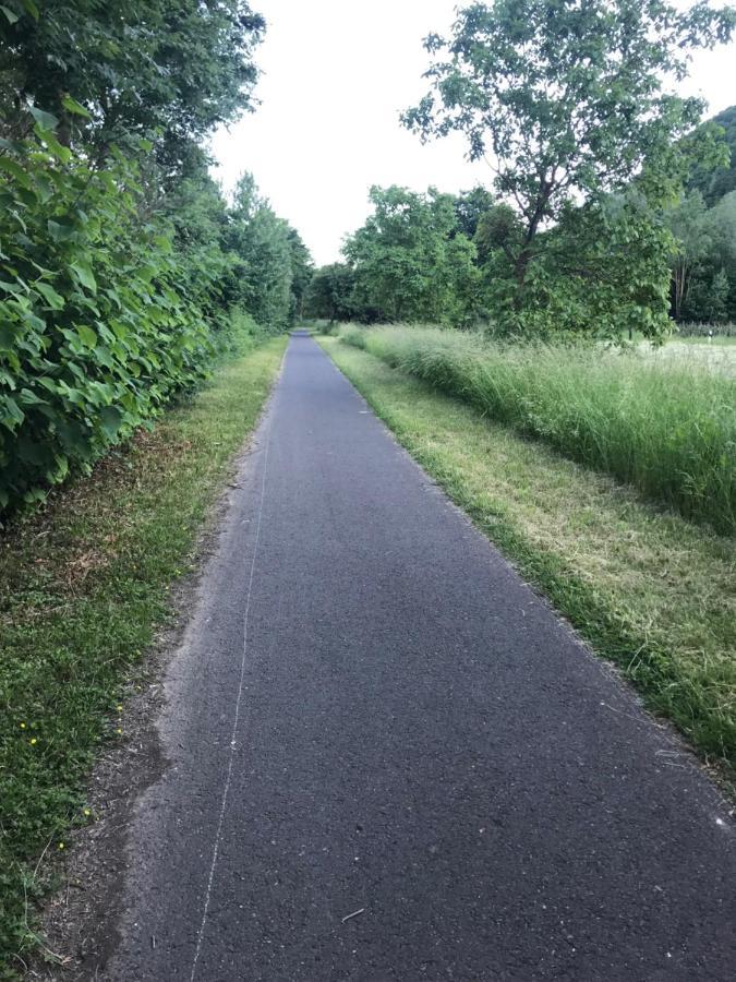 Moselina Ferienwohnungen Sankt Aldegund Exterior foto