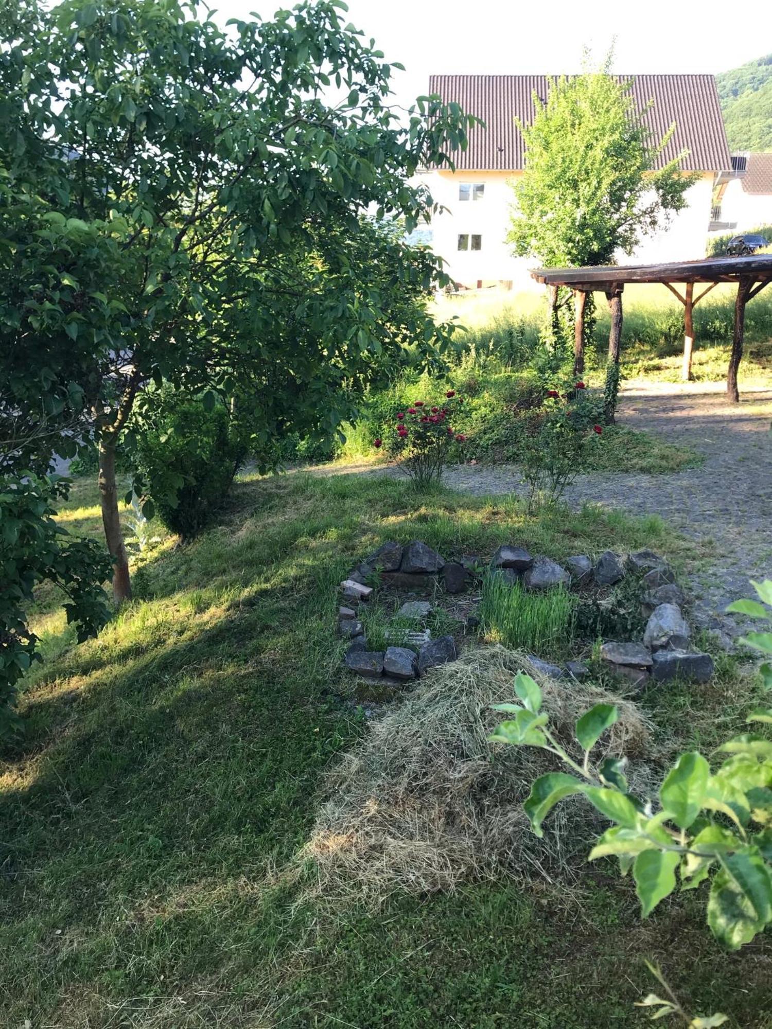 Moselina Ferienwohnungen Sankt Aldegund Exterior foto