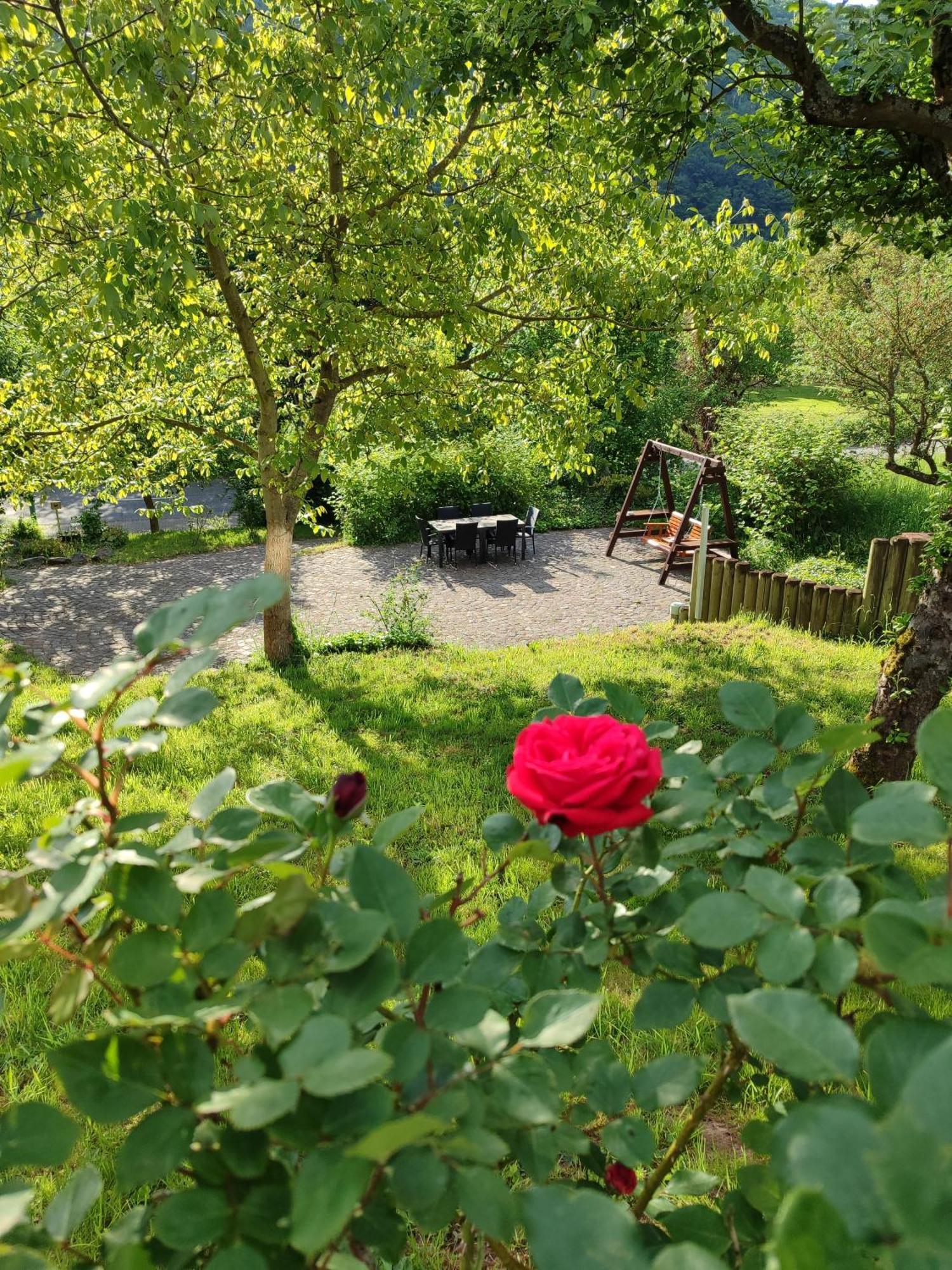 Moselina Ferienwohnungen Sankt Aldegund Exterior foto